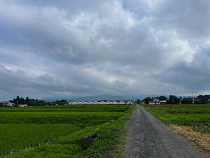 7月11日(月)　AM 7:53　前橋市苗ケ島町