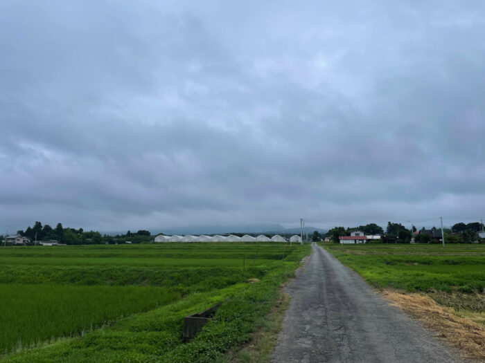 7月12日(火)　AM 7:56　前橋市苗ケ島町