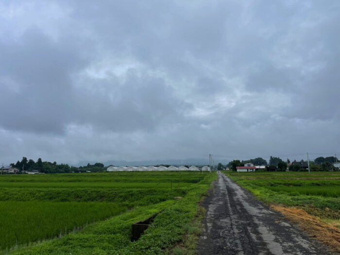 7月13日(水)　AM 7:58　前橋市苗ケ島町