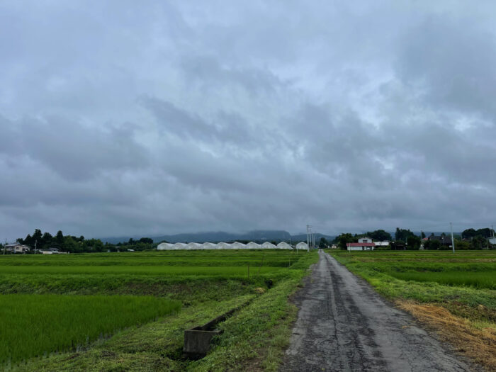 7月14日(木)　AM 8:14　前橋市苗ケ島町