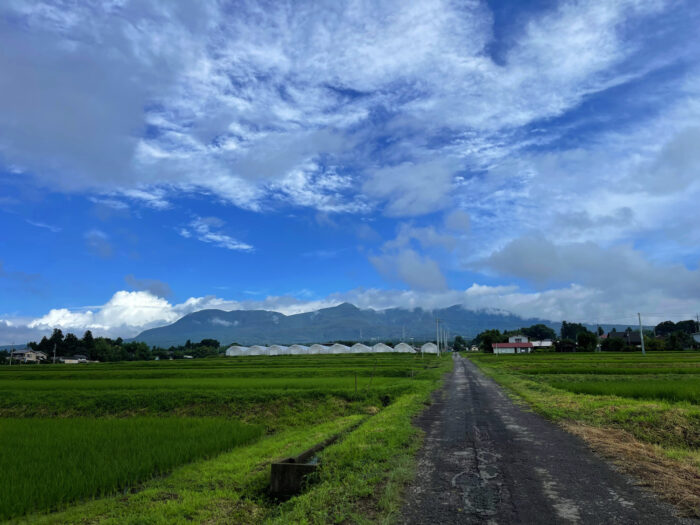 7月17日(日)　AM 7:48　前橋市苗ケ島町