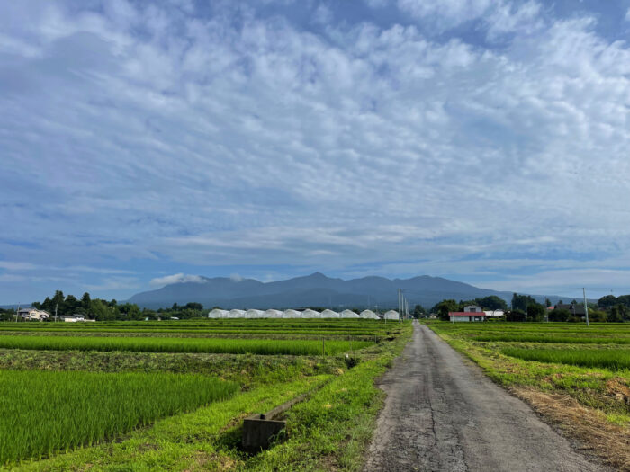 7月18日(月)　AM 7:50　前橋市苗ケ島町