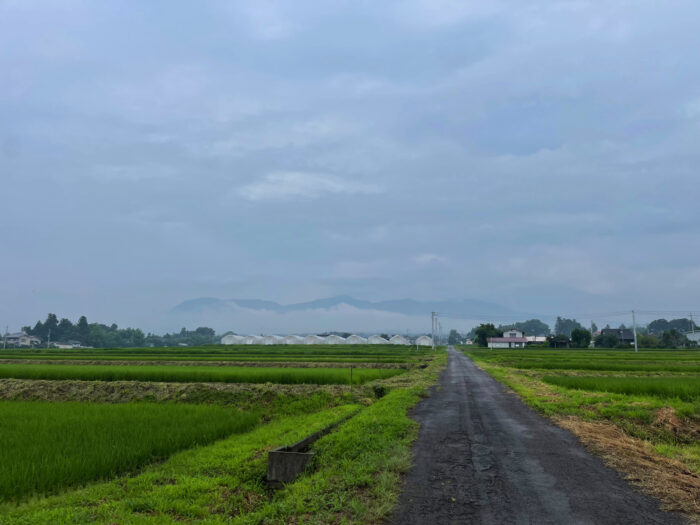 7月19日(火)　AM 7:53　前橋市苗ケ島町