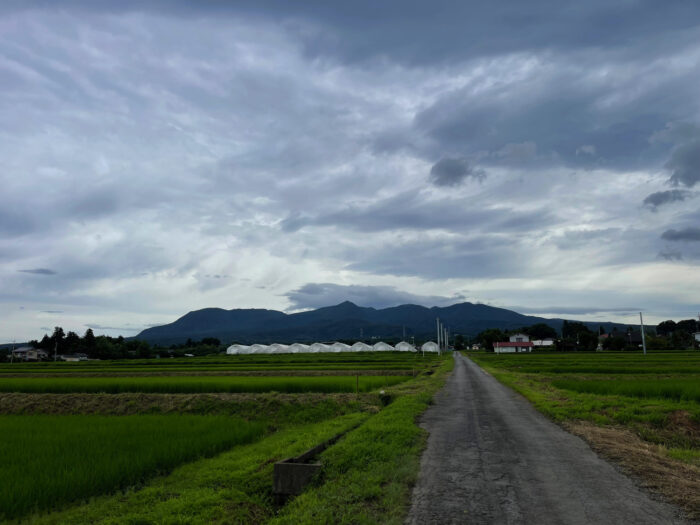 7月20日(水)　AM 7:56　前橋市苗ケ島町