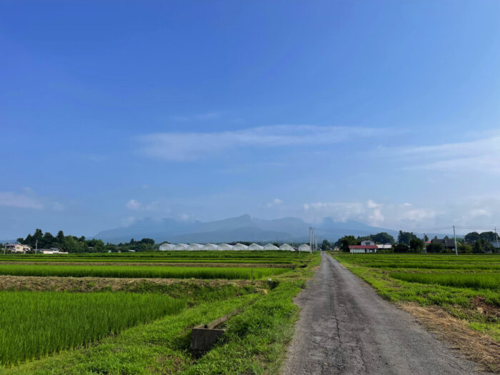 7月21日(木)　AM 7:53　前橋市苗ケ島町