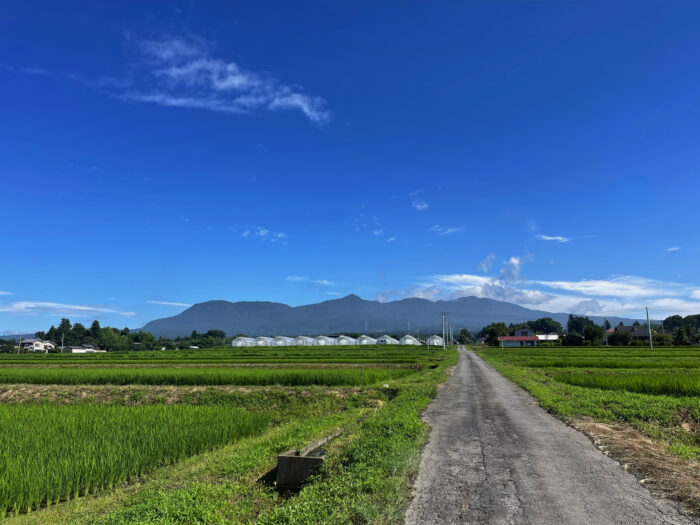 7月23日(土)　AM 8:42　前橋市苗ケ島町