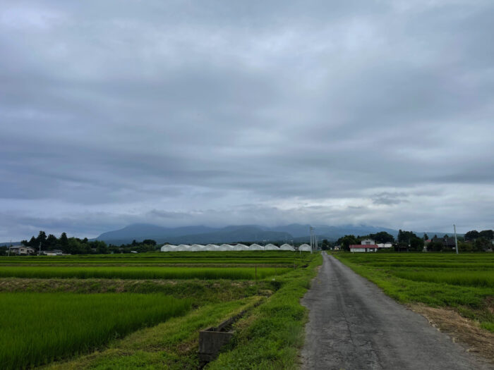 7月24日(日)　AM 7:45　前橋市苗ケ島町