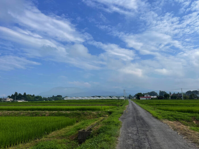 7月25日(月)　AM 7:53　前橋市苗ケ島町