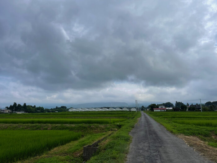 7月26日(火)　AM 7:52　前橋市苗ケ島町