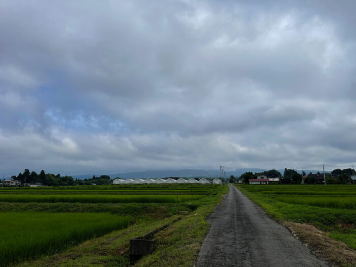 7月28日(木)　AM 7:45　前橋市苗ケ島町