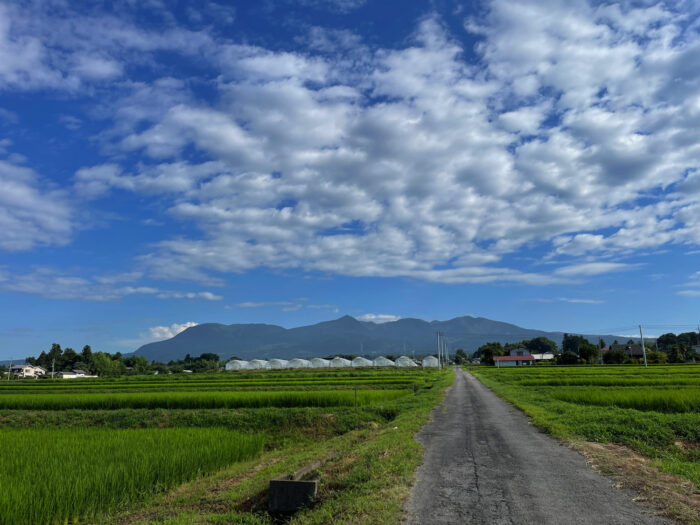 7月29日(金)　AM 7:50　前橋市苗ケ島町