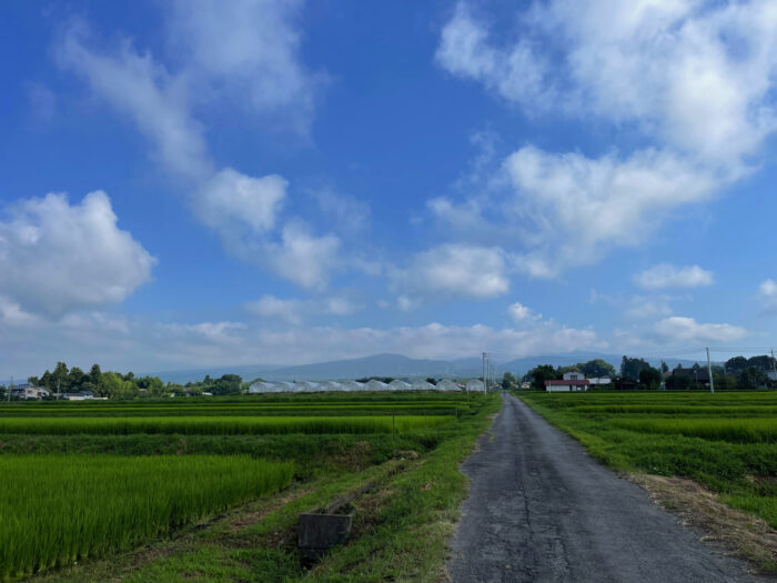 7月30日(土)　AM 7:51　前橋市苗ケ島町