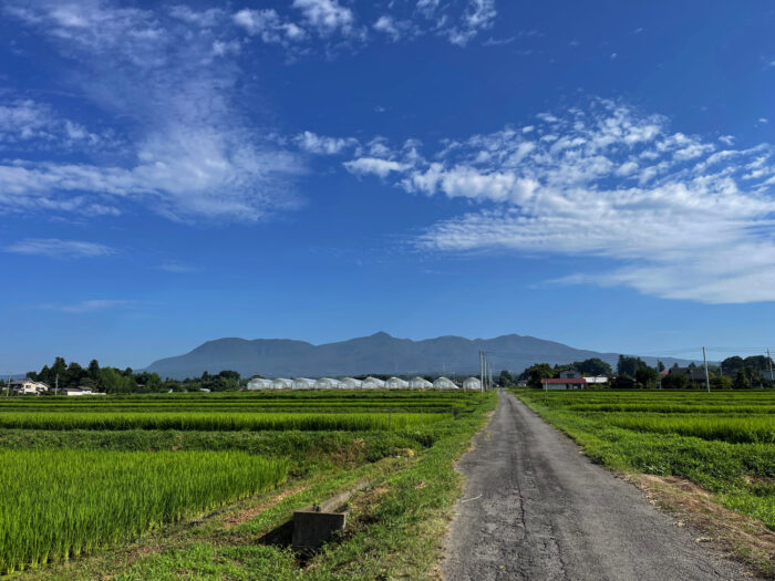 7月31日(日)　AM 7:52　前橋市苗ケ島町