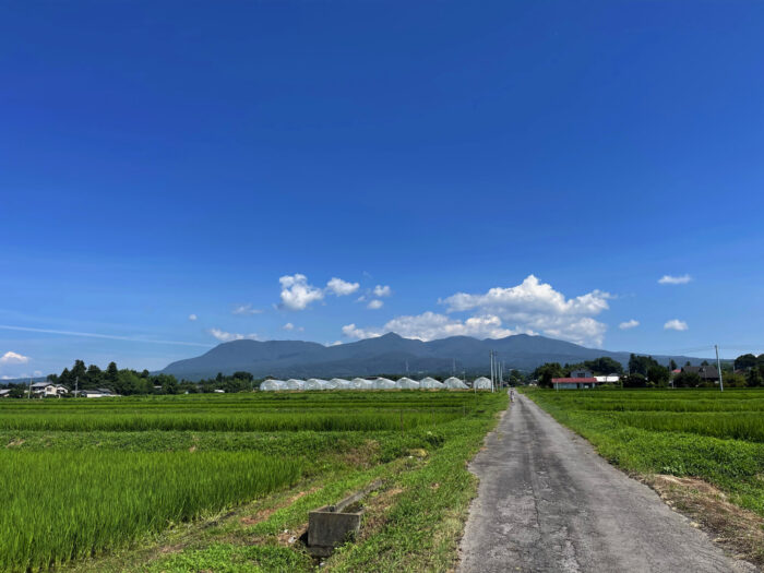 8月1日(月)　AM 9:50　前橋市苗ケ島町