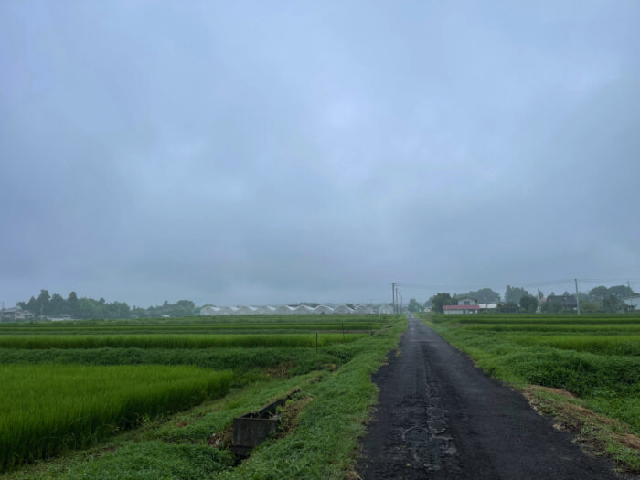 8月6日(土)　AM 7:38　前橋市苗ケ島町