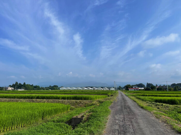 8月8日(月)　AM 7:49　前橋市苗ケ島町