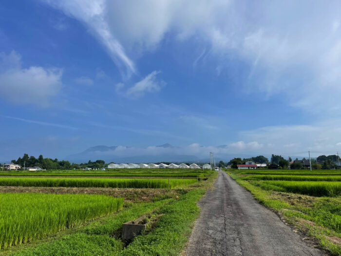 8月9日(火)　AM 7:48　前橋市苗ケ島町