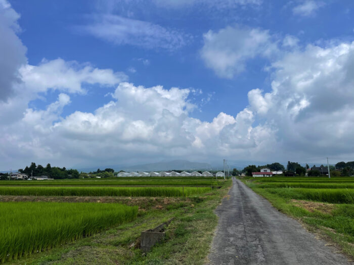 8月11日(木) AM 10:03 前橋市苗ケ島町