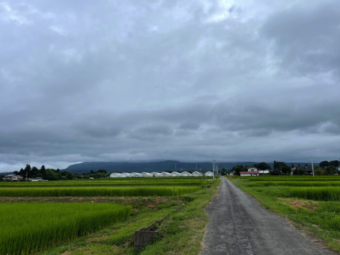 8月13日(土)　AM 7:47　前橋市苗ケ島町