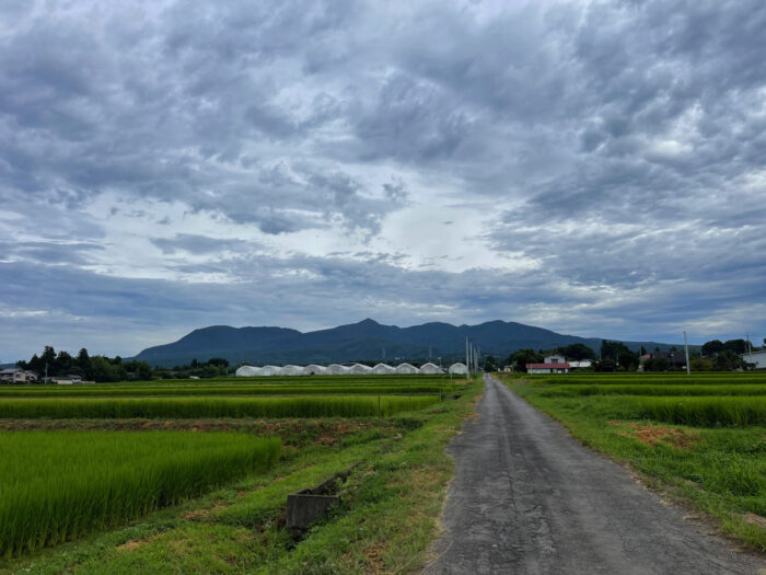 8月14日(日)　AM 7:50　前橋市苗ケ島町