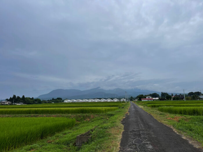 8月17日(水)　AM 10:16　前橋市苗ケ島町