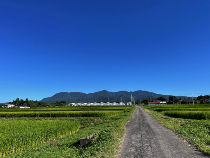 8月19日(金)　AM 7:48　前橋市苗ケ島町