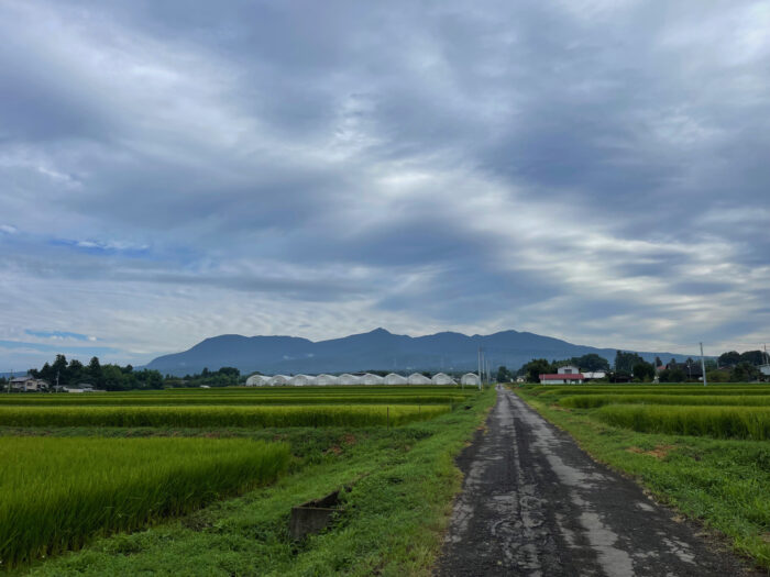 8月21日(日)　AM 7:41　前橋市苗ケ島町