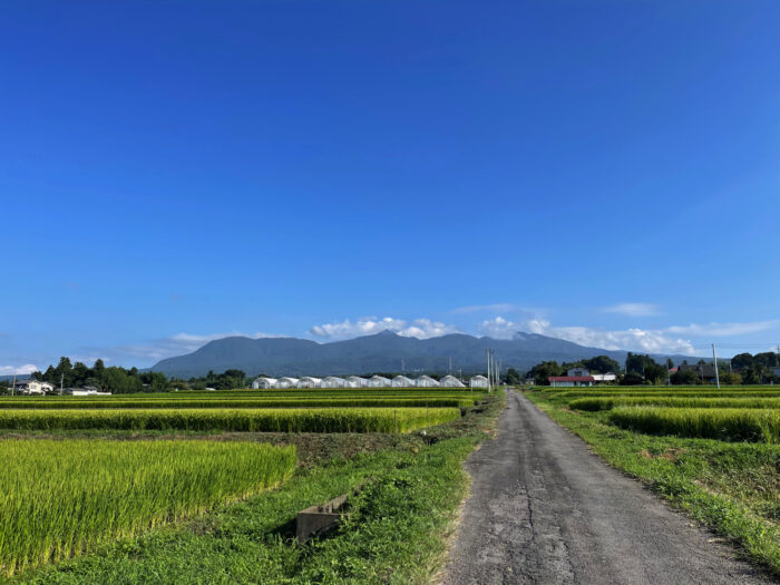 8月22日(月)　AM 7:51　前橋市苗ケ島町