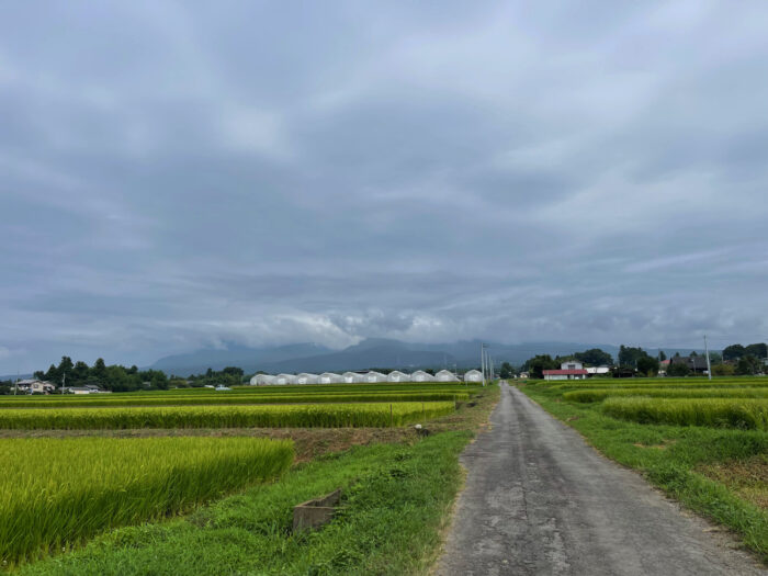 8月25日(木)　AM 9:48　前橋市苗ケ島町