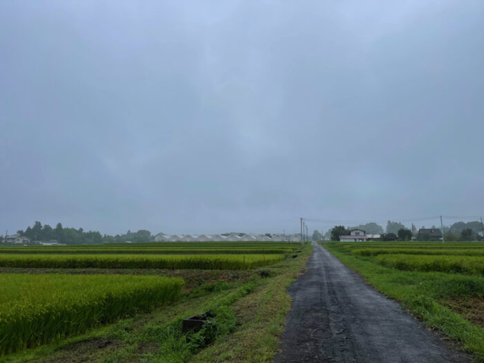 8月28日(日)　AM 7:50　前橋市苗ケ島町