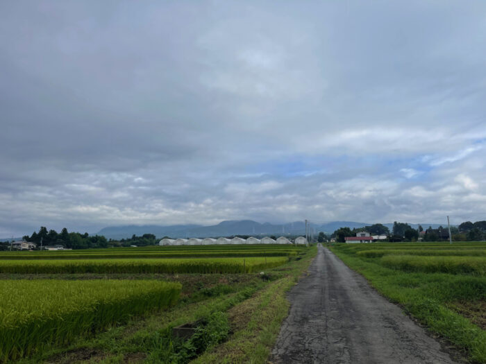 8月29日(月)　AM 7:53　前橋市苗ケ島町