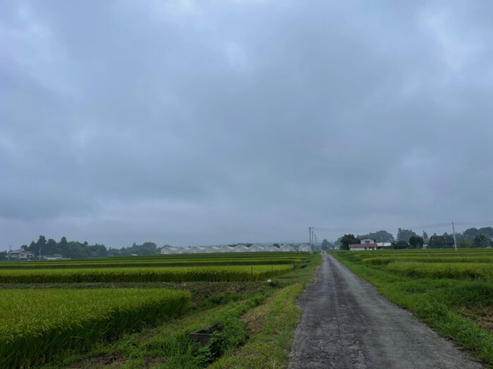 8月30日(火)　AM 7:52　前橋市苗ケ島町