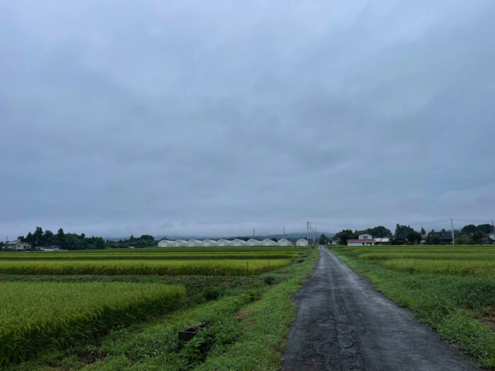 9月3日(土)　AM 7:49　前橋市苗ケ島町