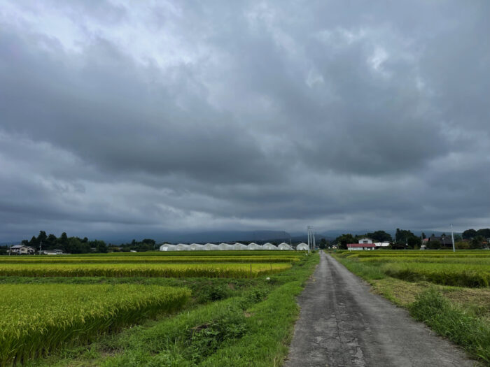 9月7日(水)　AM 9:47　前橋市苗ケ島町