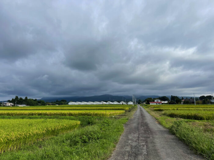 9月12日(月)　AM 7:50　前橋市苗ケ島町