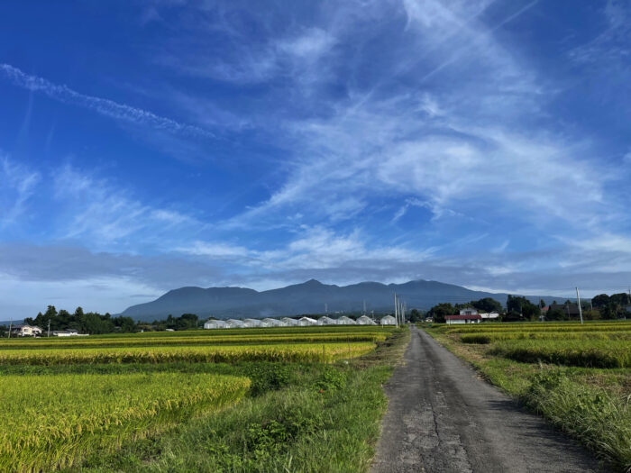 9月13日(火)　AM 7:57　前橋市苗ケ島町