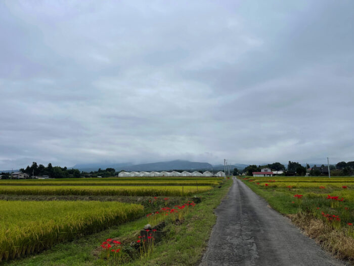 9月22日(木)　AM 7:53　前橋市苗ケ島町