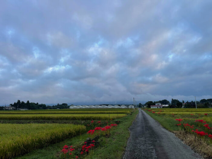 9月25日(日)　AM 5:55　前橋市苗ケ島町