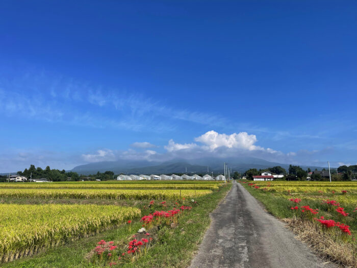 9月26日(月)　AM 9:37　前橋市苗ケ島町