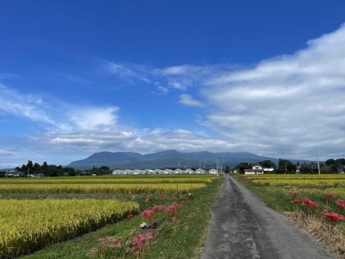 9月28日(水)　AM 11:08　前橋市苗ケ島町