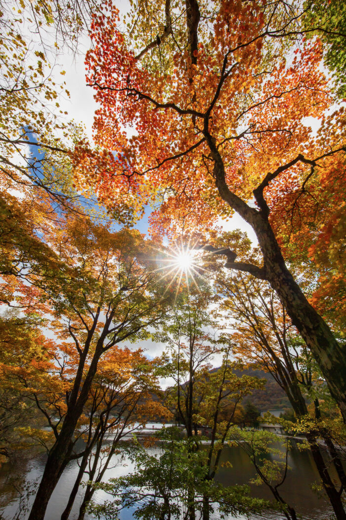 赤城山の紅葉