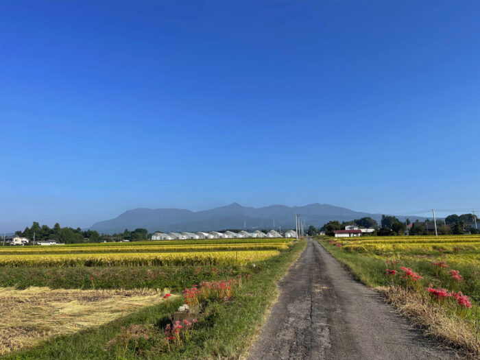 9月30日(金)　AM 7:48　前橋市苗ケ島町