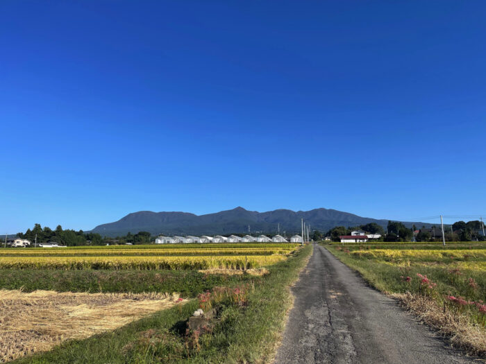 10月2日(日)　AM 7:51　前橋市苗ケ島町