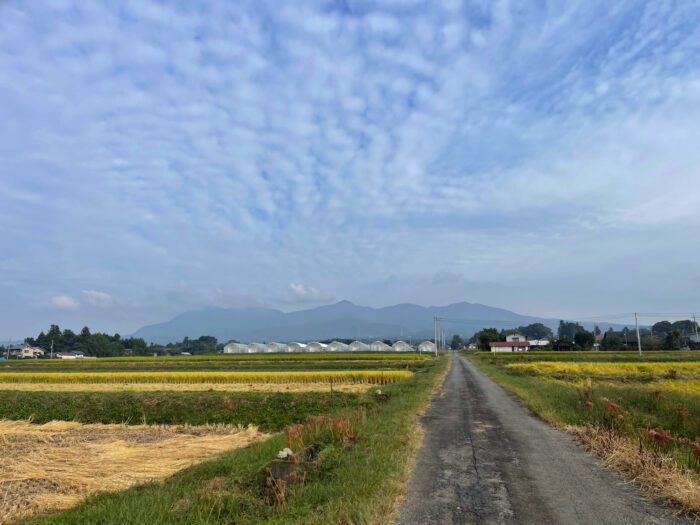 10月3日(月)　AM 7:57　前橋市苗ケ島町