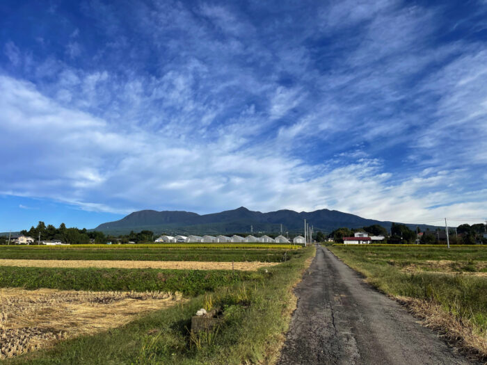 10月11日(火)　AM 7:42　前橋市苗ケ島町