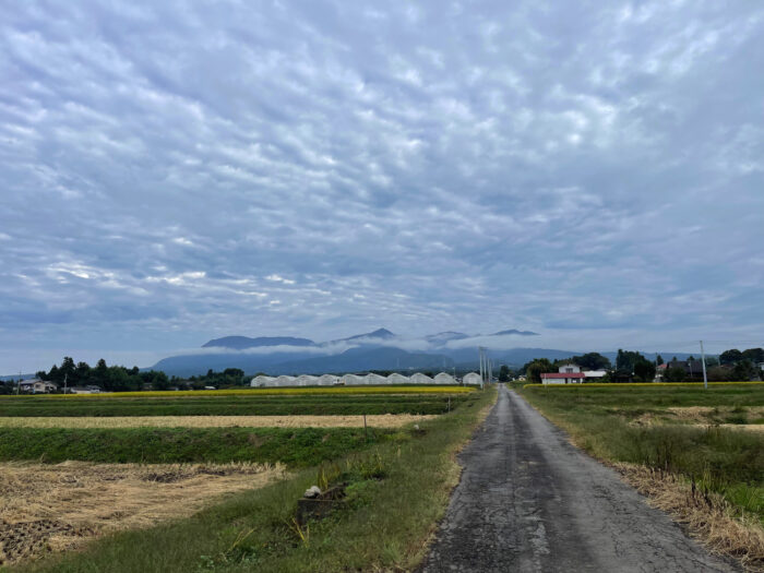 10月15日(土)　AM 7:59　前橋市苗ケ島町