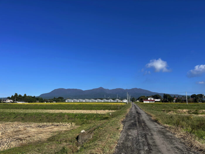 10月19日(水)　AM 9:05　前橋市苗ケ島町