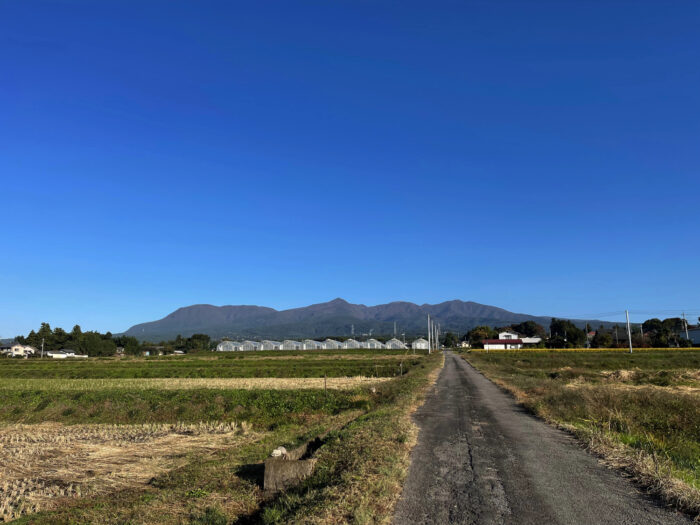 10月27日(木)　AM 7:51　前橋市苗ケ島町