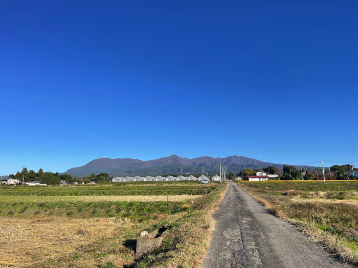 10月31日(月)　AM 7:53　前橋市苗ケ島町