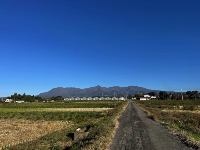 11月6日(日)　AM 8:01　前橋市苗ケ島町